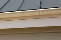 Bengal soffit repair
